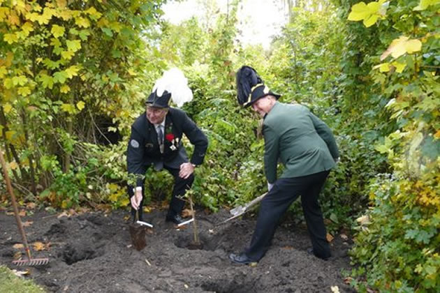 Koenig Knipp Planzen Weinberg