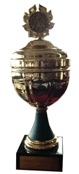 Samtgemeinde-Pokal 2012 Pokal
